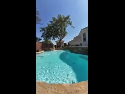 Tree Work in Progress - Watch our crew handle professional tree trimming